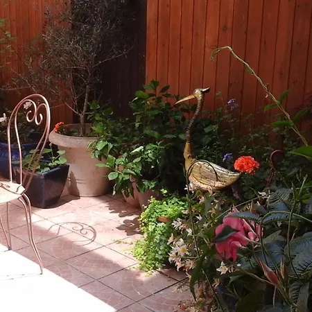 Bed and Breakfast Cote Cour Orthez